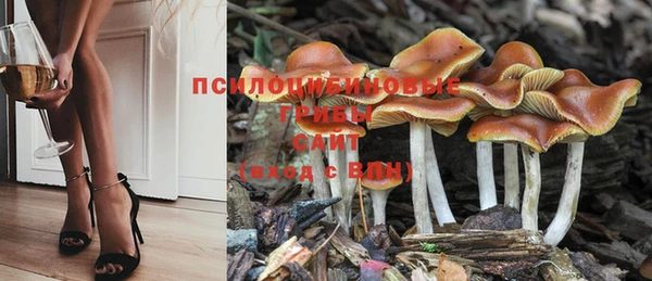 меф Нефтегорск