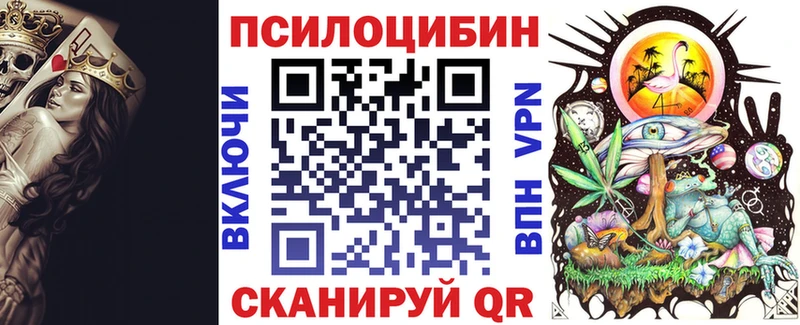 Галлюциногенные грибы Psilocybine cubensis  Талица 